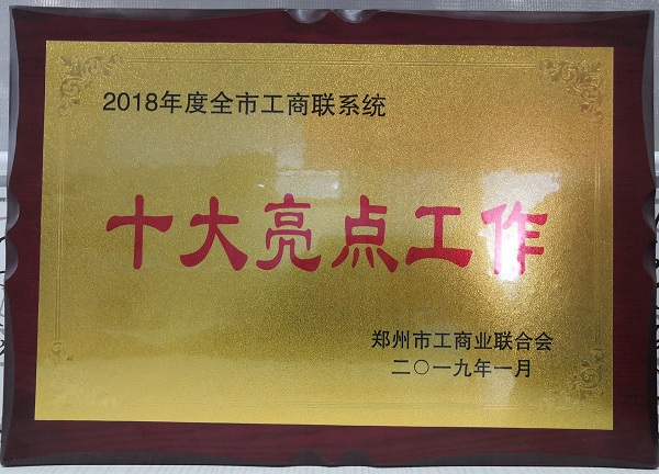 郑州市盐城商会获郑州市工商联十大亮点工作表彰(图3)