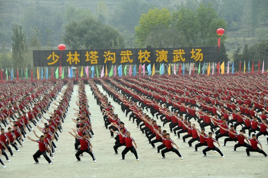 郑州温州商会组团参加第11届国际少林武术节活动(图2)