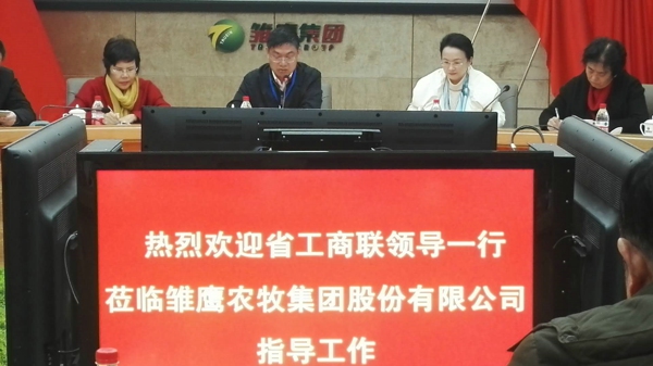 省联副主席赵纯武带队调研新郑企业文化建设情况(图1)