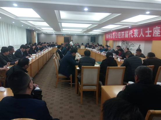 郑州市工商联组织召开非公经济界代表人士座谈会(图3)