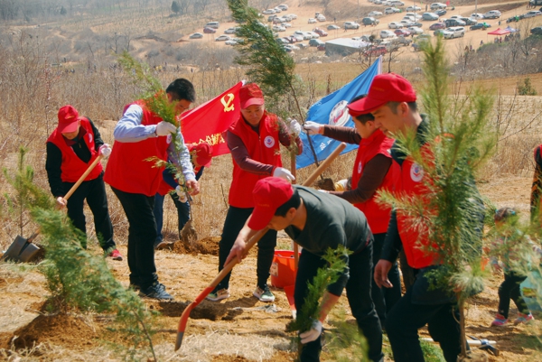 植树造林 绿化郑州(图2)