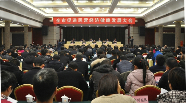 全市促进民营经济健康发展大会召开(图1)