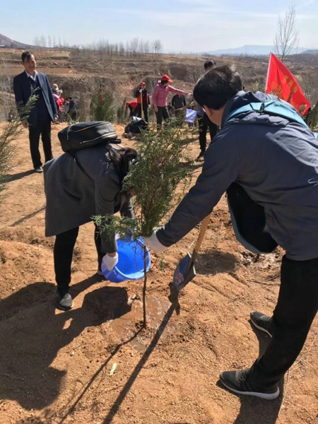 郑州市工商联工会组织干部职工开展义务植树节活动(图3)